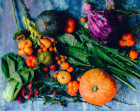 Domínio 4: Consuma Antioxidantes e Polifenóis na Alimentação e na